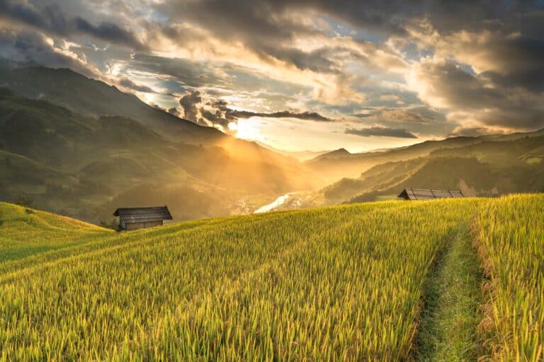 agriculture biologique pour une planète plus verte