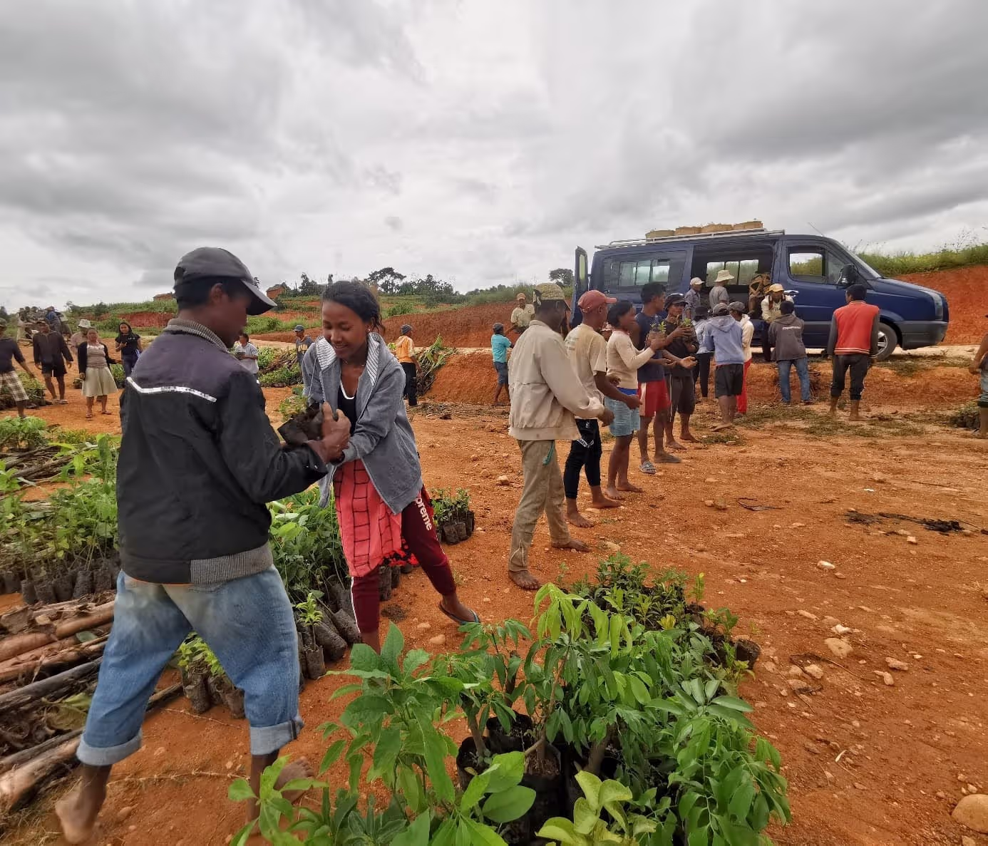 Campagne de plantation d’arbres de notre ONG LIFE à Madagascar, 2024.