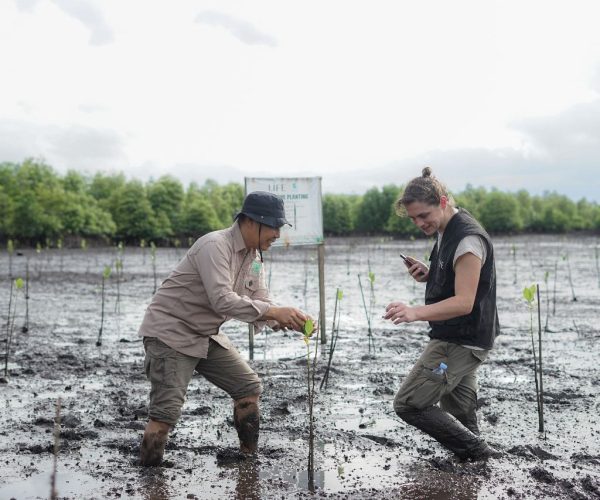 life ong reforestation