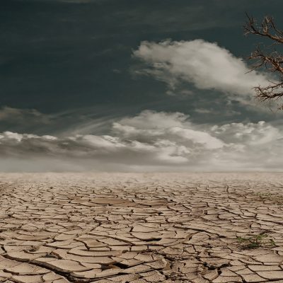 urgence climatique