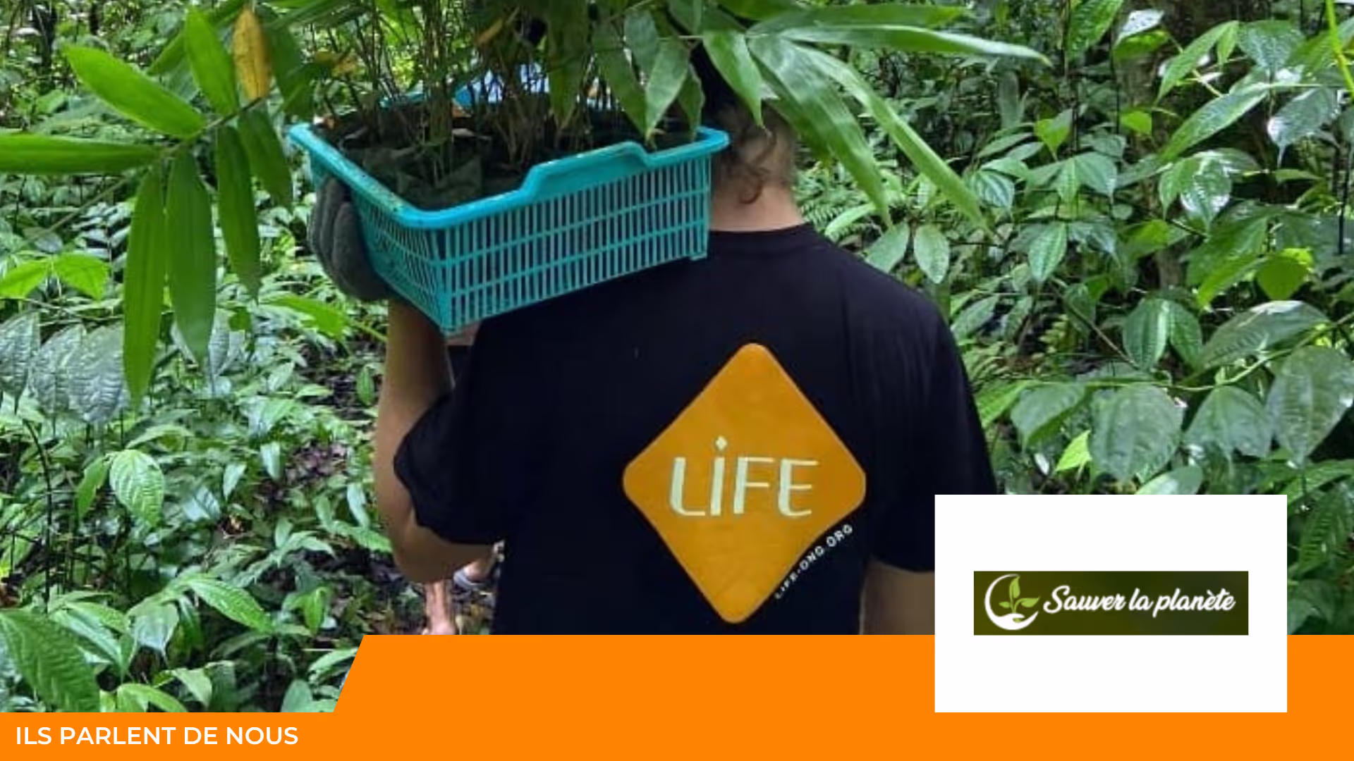 Une personne de dos, en t-shirt LIFE, porte sur l'épaule une caisse de jeunes plants dans la forêt ; bandeau « Ils parlent de nous »
