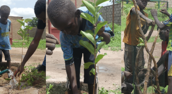 Trois scènes d'enfants plantant et arrosant de jeunes arbres sur un terrain de terre, puis protégeant un plant avec des branches et un grillage.