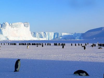 la fonte des glaces