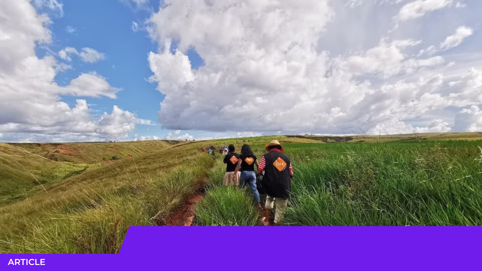 Des personnes avec des gilets LIFE marchent en file sur un sentier dans de hautes herbes, sous un grand ciel nuageux. Bandeau « Article ».