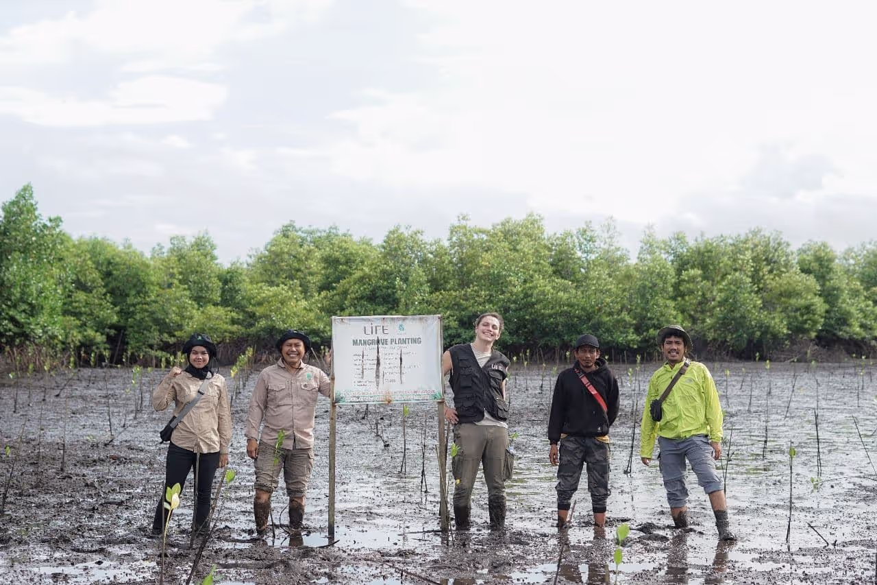 Plantations de mangroves par l'ONG LIFE Indonésie