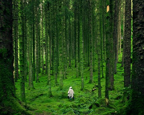 droit à un environnement sain