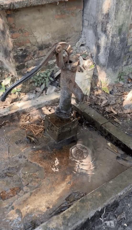 Pompe manuelle rouillée au-dessus d'un puits peu profond à l'eau stagnante
