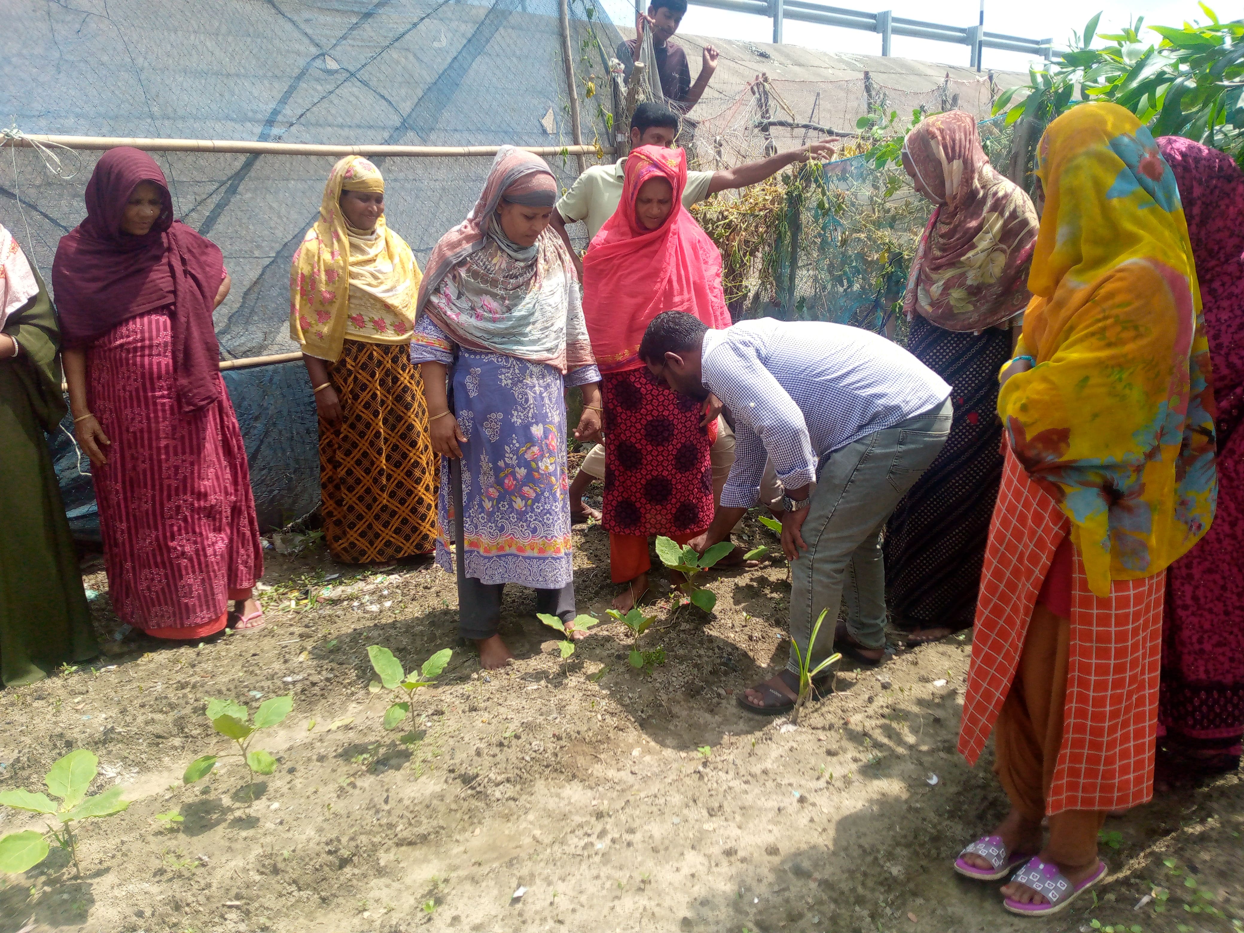 Des femmes en saris colorés entourent un homme penché qui plante de jeunes plants dans un potager, sous un filet
