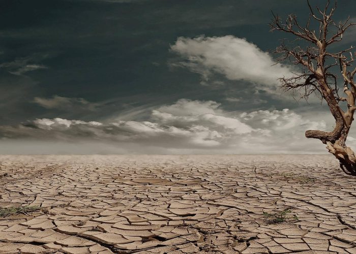 changement climatique