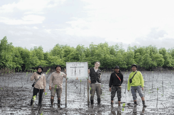 Cinq personnes posent dans une zone de boue avec de jeunes pousses, devant un panneau LIFE de plantation de mangrove
