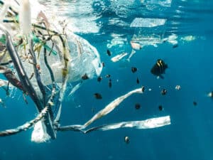 pollution des océans