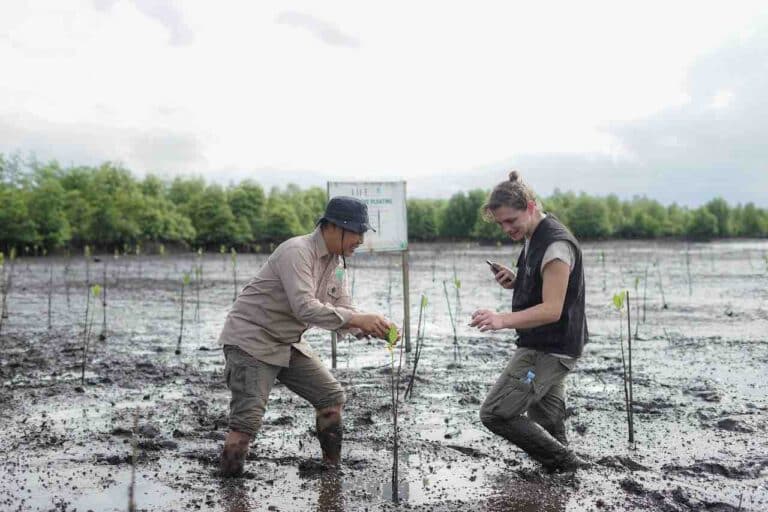 droit à un environnement sain justice sociale