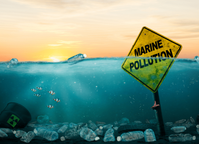 pollution marine